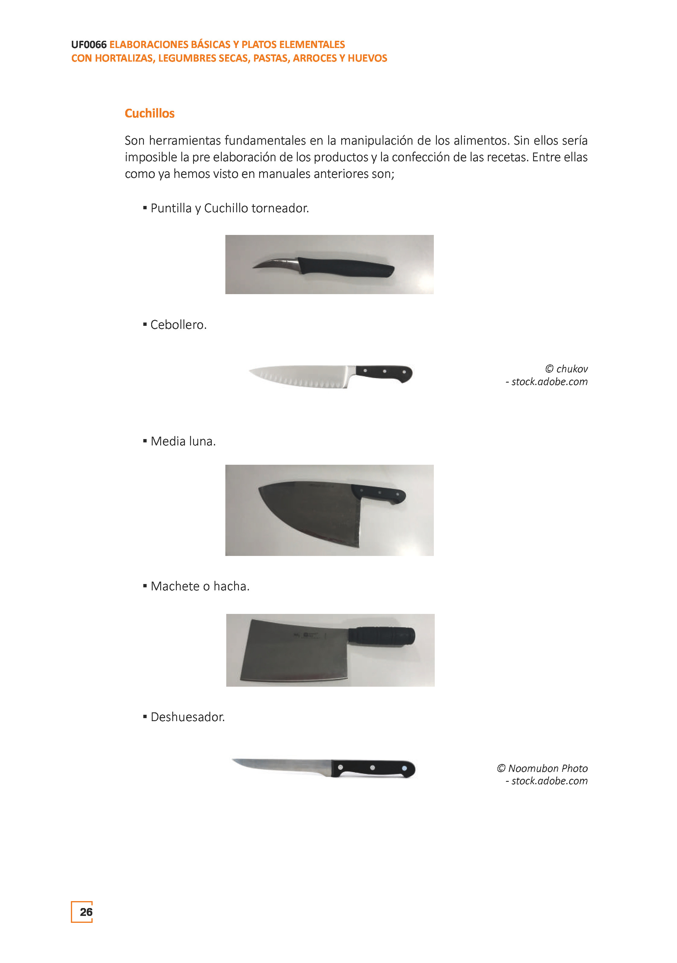 Imagen de prevista del libro test