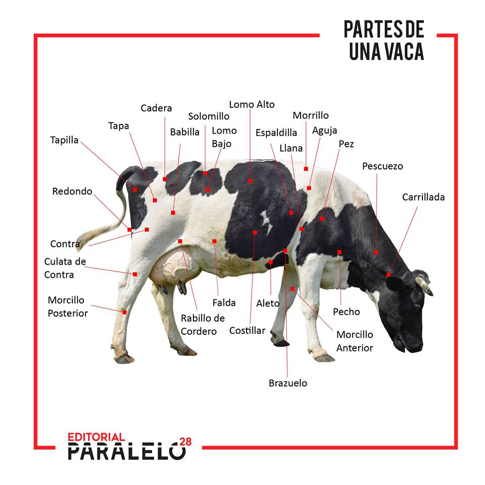 Imagen de la noticia Partes de una Vaca